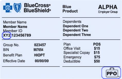 Blue Cross Blue Shield Federal Phone Number. . Pas prefix bcbs